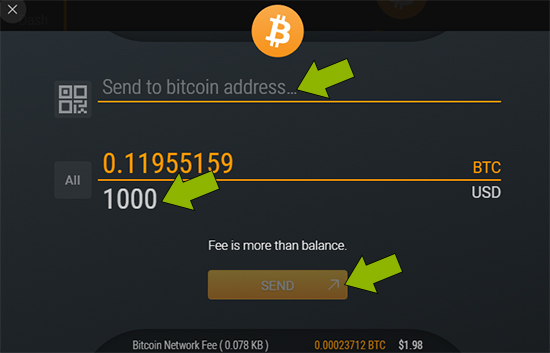 Choose your Bitcoin wallet.